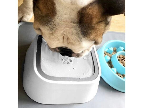 MISKA NIECHLAPIĄCA PODAJNIK WODY DLA PSA KOTA 22,8x8cm