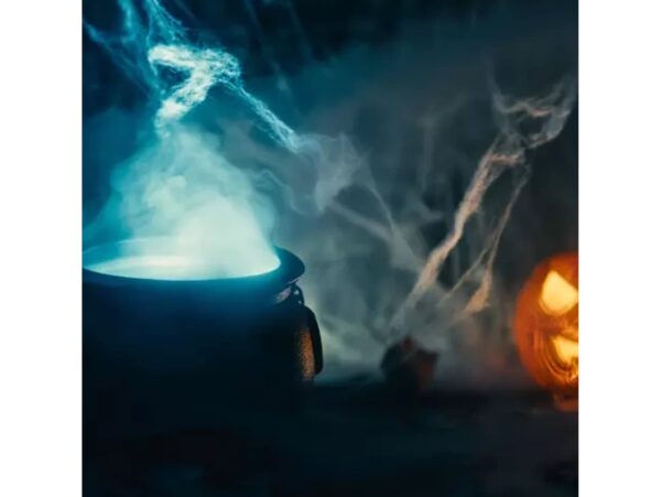 PAJĘCZYNA BIAŁA 20G HALLOWEN + 2 PAJĄKI