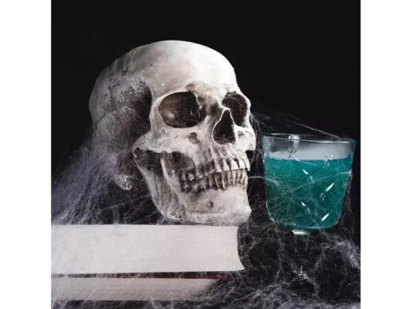 PAJĘCZYNA BIAŁA 20G HALLOWEN + 2 PAJĄKI