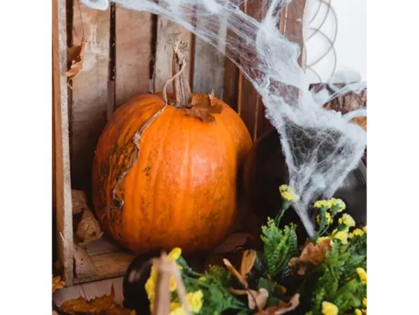 PAJĘCZYNA BIAŁA 20G HALLOWEN + 2 PAJĄKI