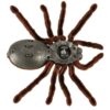 PAJĄK TARANTULA ZDALNIE STEROWANY ROBOT + PILOT