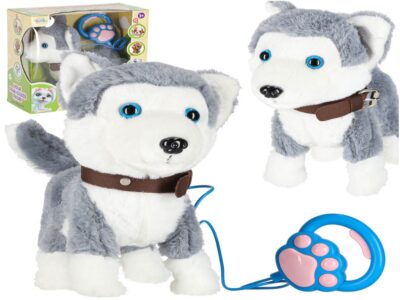 PIESEK INTERAKTYWNY NA SMYCZY HUSKY