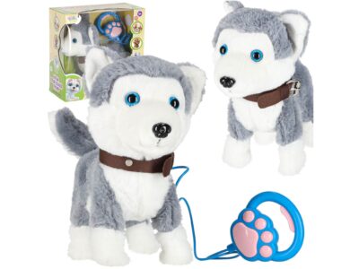 PIESEK INTERAKTYWNY NA SMYCZY HUSKY