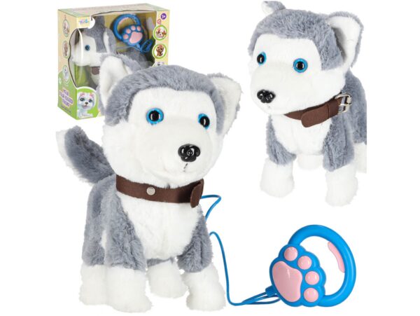 PIESEK INTERAKTYWNY NA SMYCZY HUSKY