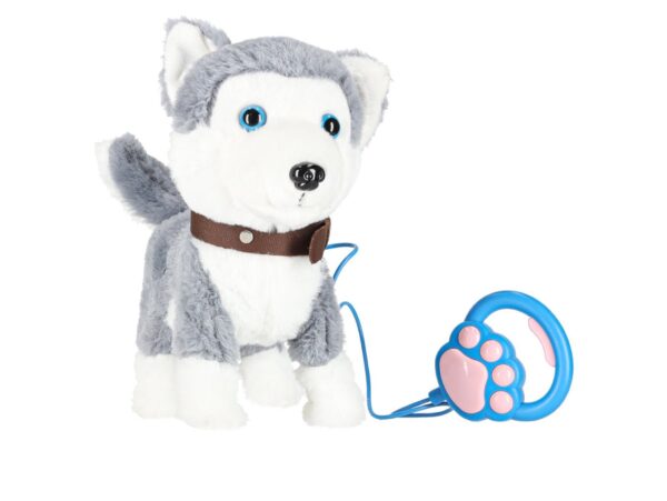 PIESEK INTERAKTYWNY NA SMYCZY HUSKY