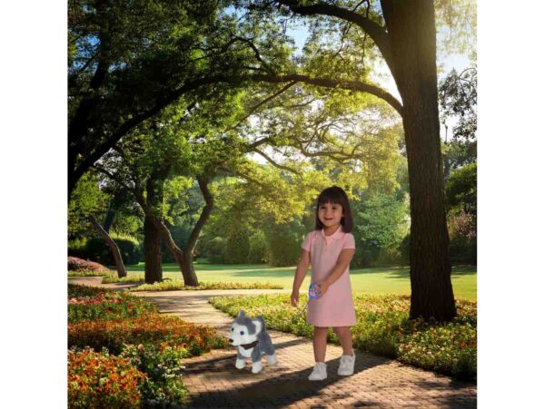 PIESEK INTERAKTYWNY NA SMYCZY HUSKY