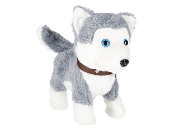 PIESEK INTERAKTYWNY NA SMYCZY HUSKY