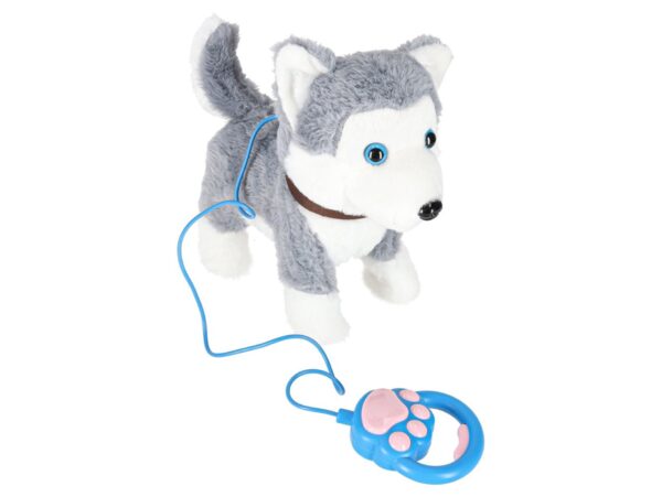 PIESEK INTERAKTYWNY NA SMYCZY HUSKY