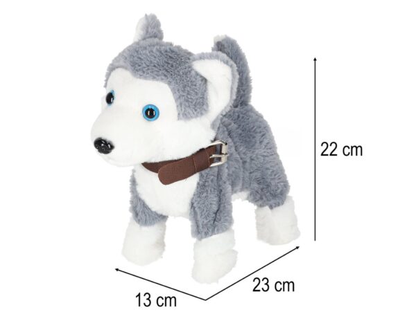 PIESEK INTERAKTYWNY NA SMYCZY HUSKY