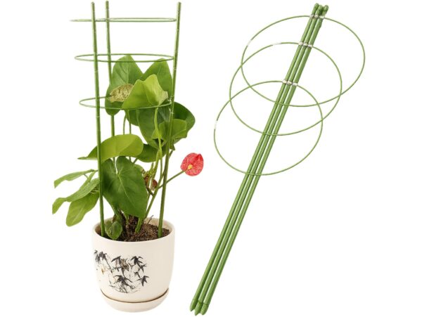 PODPORA PIERŚCIENIOWA ROŚLIN KWIATÓW PODPÓRKA 60cm