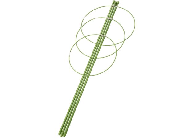 PODPORA PIERŚCIENIOWA ROŚLIN KWIATÓW PODPÓRKA 60cm