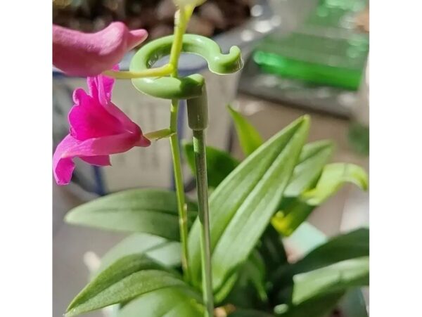 PODPORA PODPÓRKA DO ROŚLIN 37CM