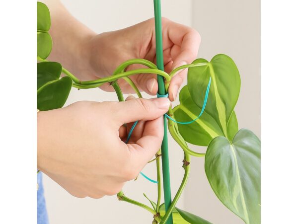 PODPORA PODPÓRKA DO ROŚLIN 60CM