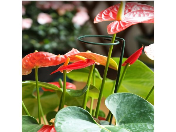 PODPORA PODPÓRKA DO ROŚLIN KWIATÓW TYCZKA 40CM