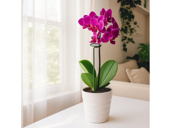 PODPORA PODPÓRKA DO ROŚLIN KWIATÓW TYCZKA 40CM