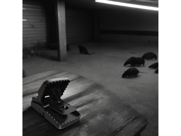 PUŁAPKA ŁAPKA NA MYSZY PLASTIKOWA SKUTECZNA MOCNA