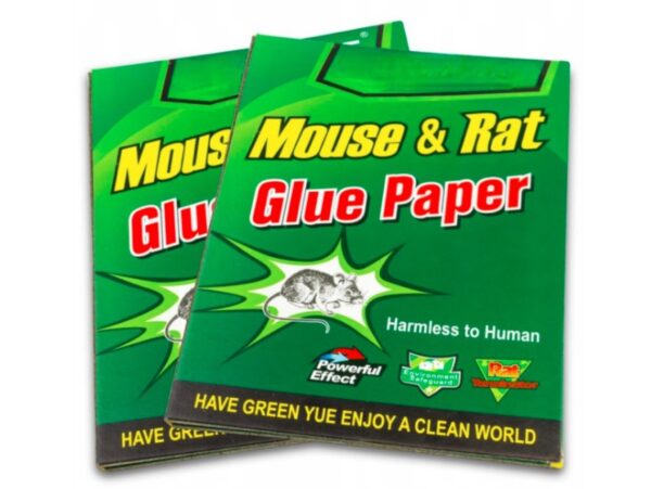 PUŁAPKA NA MYSZY LEP 24x17 10SZT