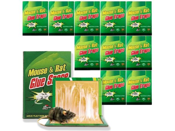 PUŁAPKA NA MYSZY LEP 31x21 XXL 10SZT