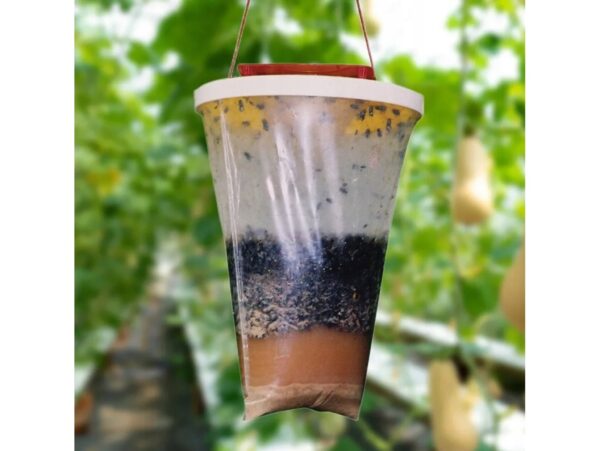 PUŁAPKA NA OWADY - z wabikiem