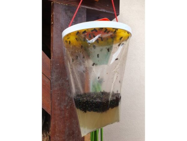 PUŁAPKA NA OWADY - z wabikiem