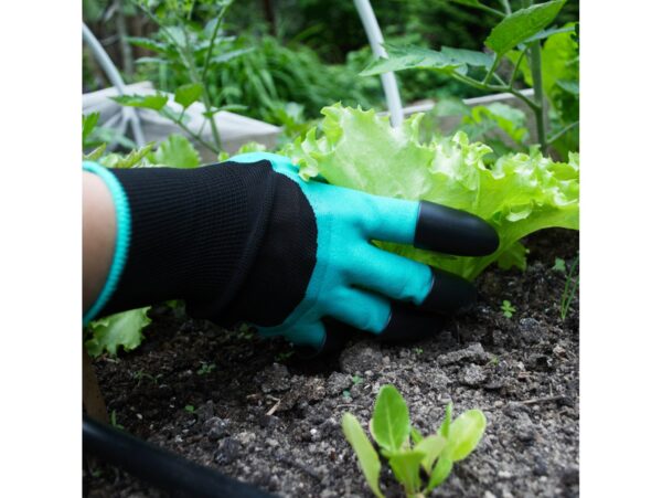 RĘKAWICE RĘKAWICZKI OGRODOWE PAZURY GRAB Z PAZUREM