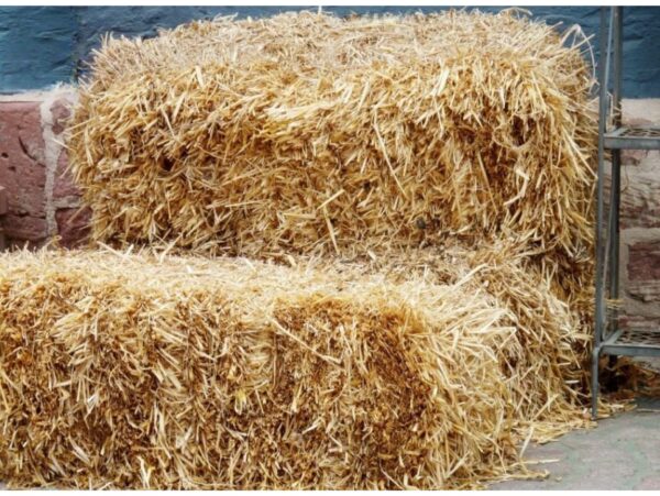 SŁOMA KOSTKA PODŁOŻE 8% / 4kg