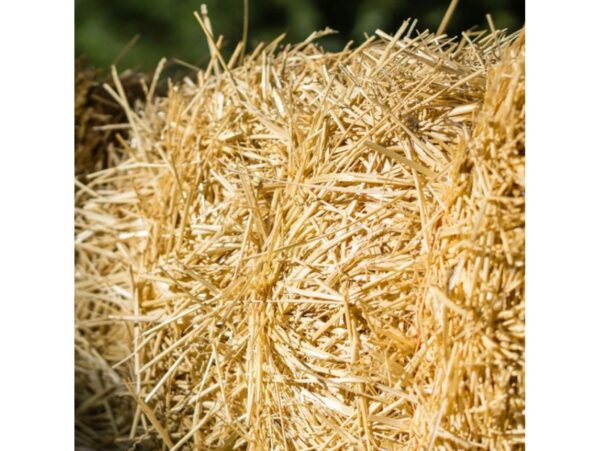 SŁOMA KOSTKA PODŁOŻE 8% / 4kg