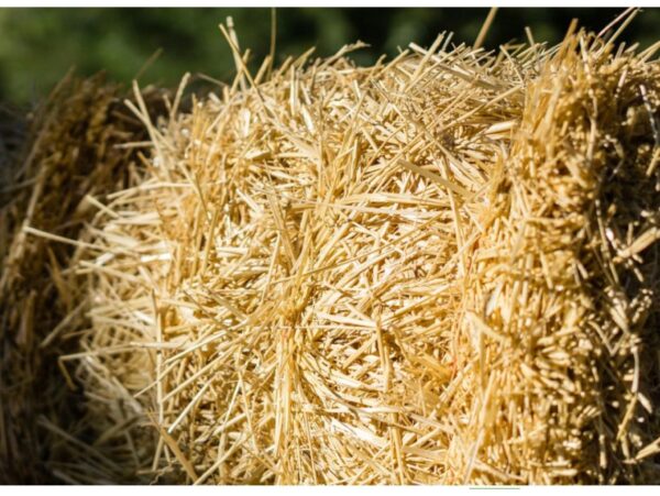 SŁOMA KOSTKA PODŁOŻE DLA GRYZONIA PSA ŚCIÓŁKA BUDY