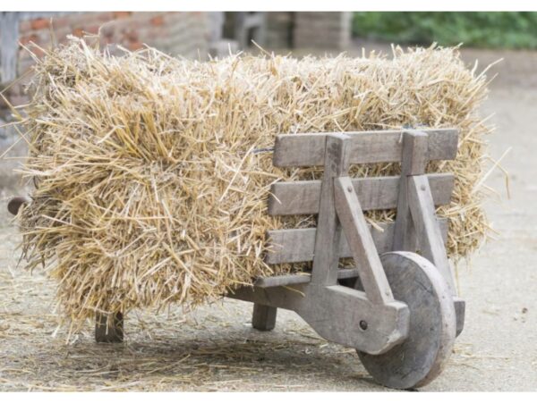 SŁOMA KOSTKA PODŁOŻE DLA GRYZONIA PSA ŚCIÓŁKA BUDY