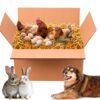 SŁOMA KOSTKA PODŁOŻE DLA GRYZONIA PSA ŚCIÓŁKA BUDY