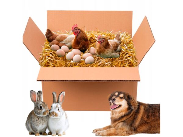 SŁOMA KOSTKA PODŁOŻE DLA GRYZONIA PSA ŚCIÓŁKA BUDY