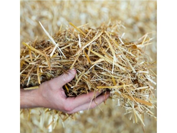 SŁOMA KOSTKA PODŁOŻE DLA GRYZONIA PSA ŚCIÓŁKA BUDY