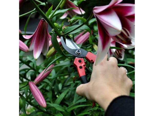 SEKATOR OGRODOWY NOŻYCE DO KRZEWÓW GAŁĘZI MOCNY