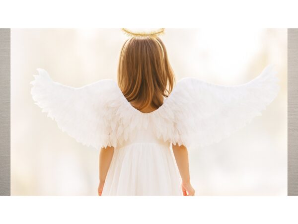 SKRZYDŁA ANIOŁA 66x19 JASEŁKA PRZEBRANIE STRÓJ
