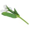 TULIPAN BUKIET SZTUCZNY PIANKOWY 5 KWIATÓW 29cm - biały