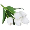 TULIPAN BUKIET SZTUCZNY PIANKOWY 5 KWIATÓW 29cm - biały