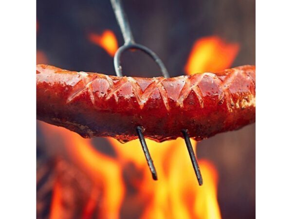 WIDELEC TELESKOPOWY NA OGNISKO 31-82CM