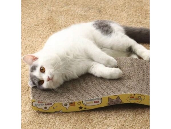 DRAPAK DLA KOTA KOTÓW POZIOMY LEŻAK KOCIMIĘTKA