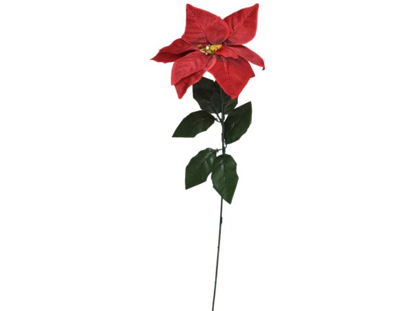 KWIAT GWIAZDA BETLEJEMSKA POINSECJA POJEDYNCZA 65CM - czerwony cieniowany