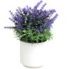 KWIATY SZTUCZNE W DONICZCE LAWENDA 21CM