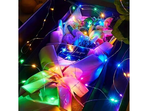 LAMPKI DRUCIKI 20 LED - multikolor