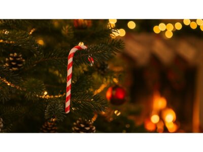 ZAWIESZKA NA CHOINKĘ LASKA CUKROWA 9x2CM 6SZT