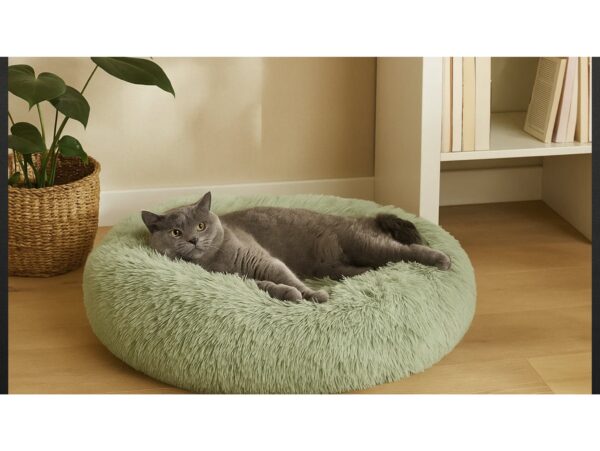 LEGOWISKO DLA PSA KOTA WŁOCHATE 50CM - miętowy