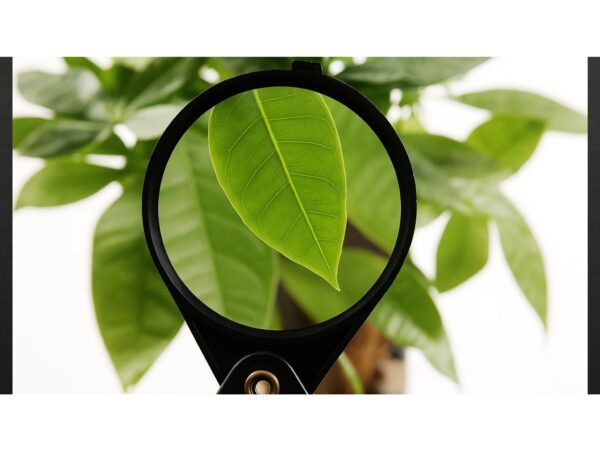 SZKŁO POWIĘKSZAJĄCE LUPA SKŁADANA 60MM