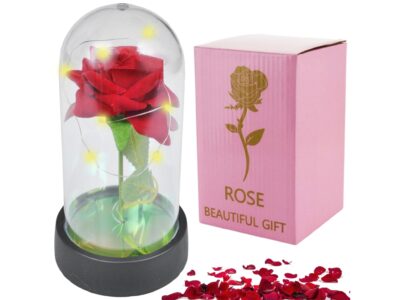 WIECZNA RÓŻA W SZKLE LED ŚWIECĄCA 15CM - wzór 1