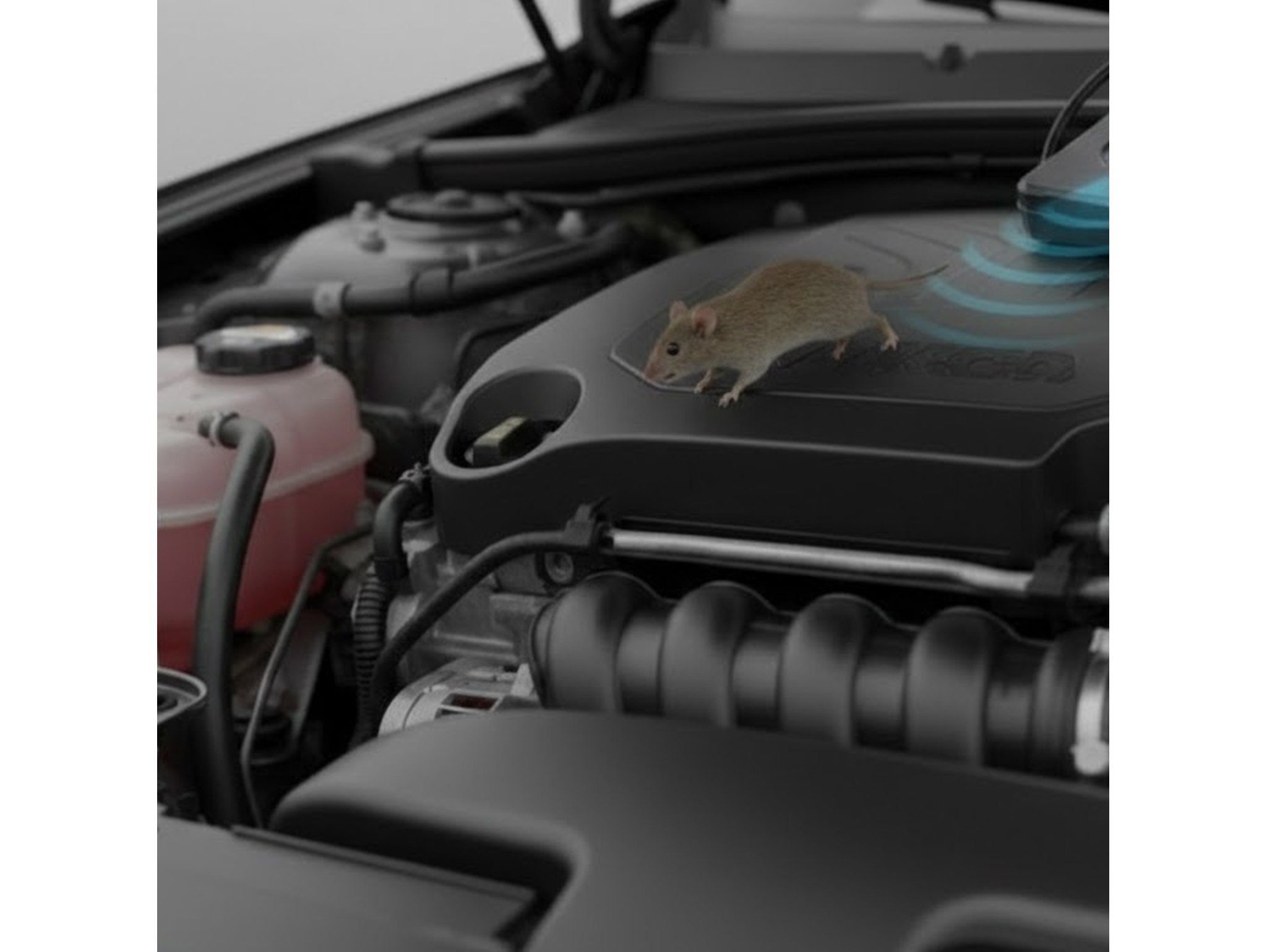 ODSTRASZACZ GRYZONI SAMOCHODOWY DO AUTA ULTRADŹWIĘKOWY